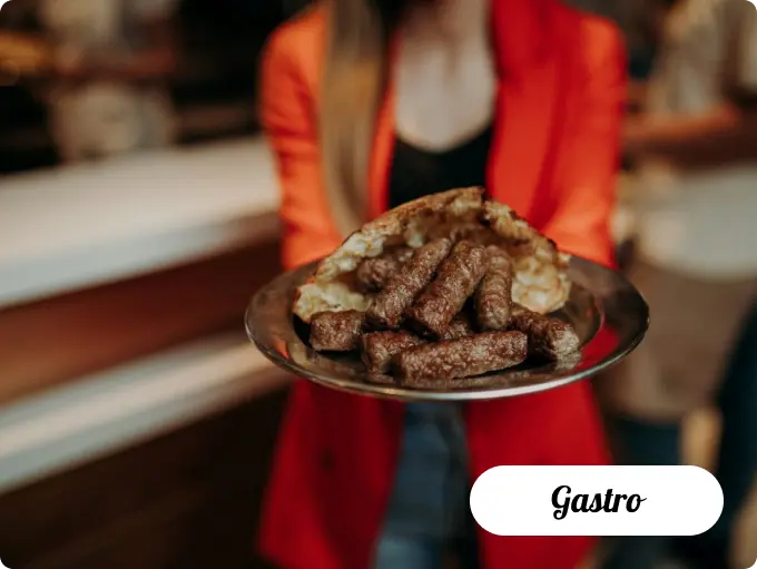 gastro-vlasic.webp