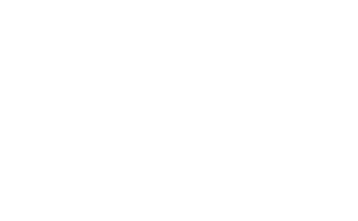 In-Trip Functions (Pause Trip).png